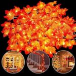 Водоустойчиви LED лампички 2 м. - тип есенни листа - комплект 2 бр. - Image 4
